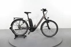 Upway Raymon CityRay E 2.0 FW